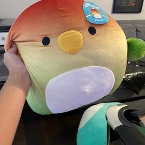 Rainbow duck squishmallow
